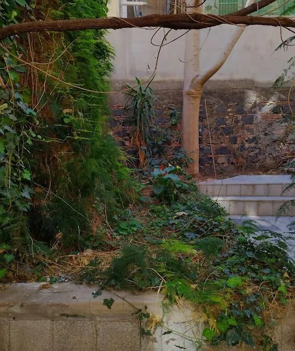 Loft Centro Ingresso Indipendente Giardino Privato Lägenhet Catania