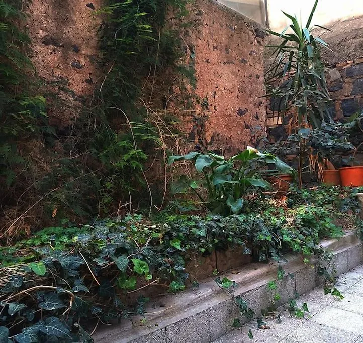 Loft Centro Ingresso Indipendente Giardino Privato Lägenhet Catania